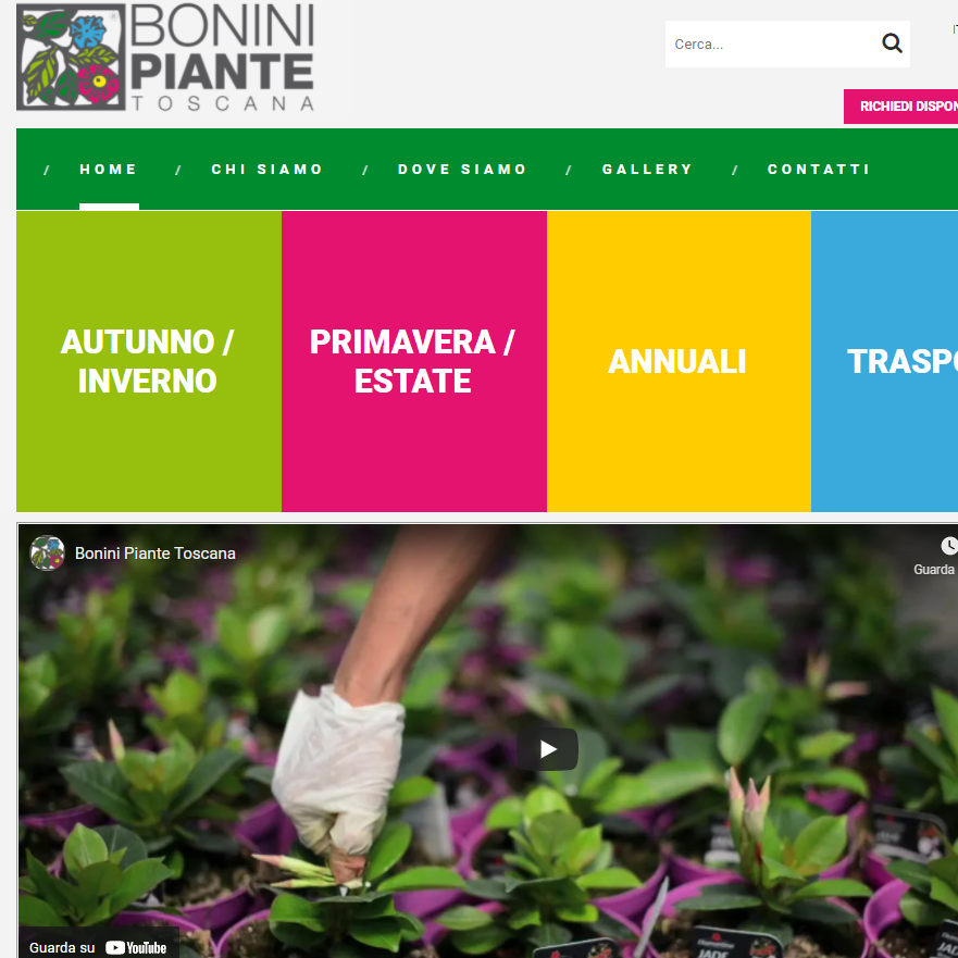 Testo alternativo accessibile