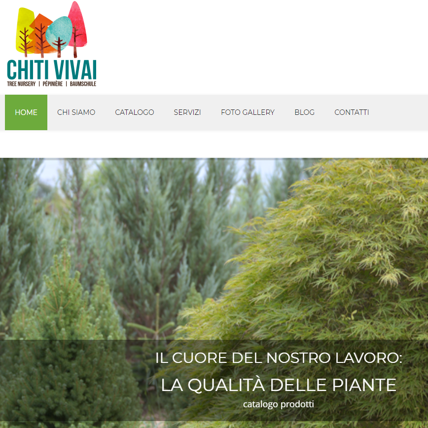 Testo alternativo accessibile