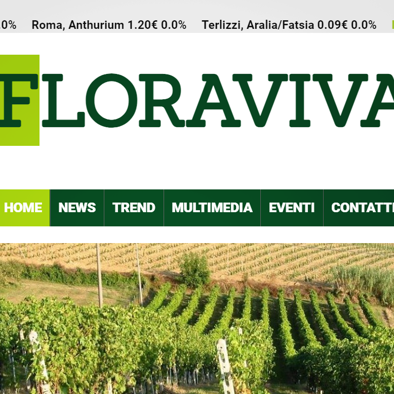 Testo alternativo accessibile