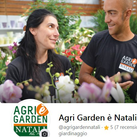 Testo alternativo accessibile