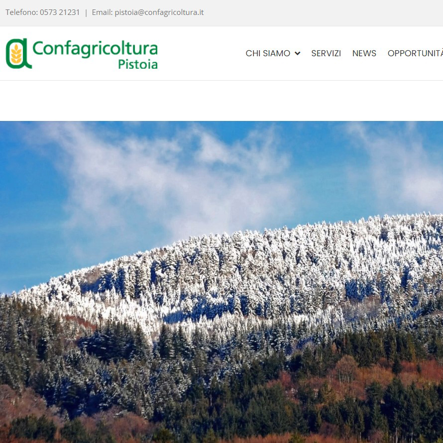 Testo alternativo accessibile